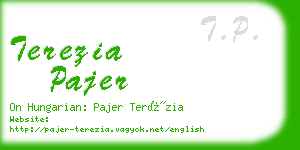 terezia pajer business card